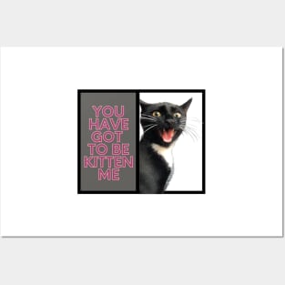 You have got to be kitten me cat Posters and Art